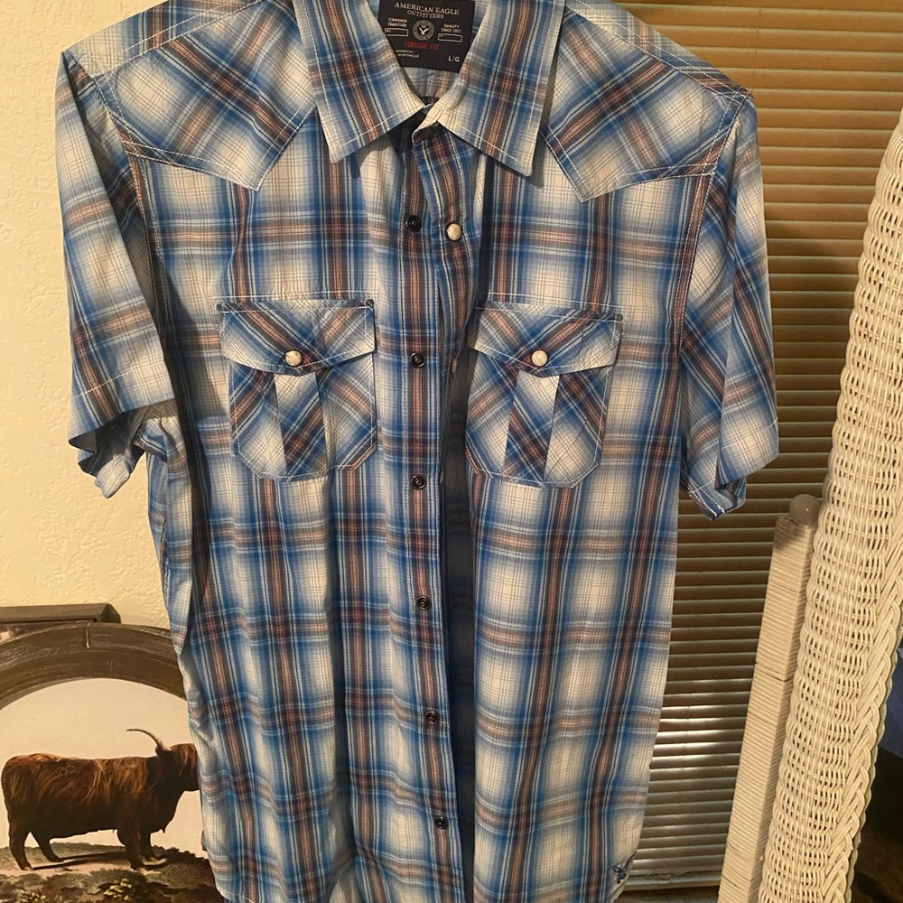 American Eagle Outfitters Blue and White Plaid Shirt